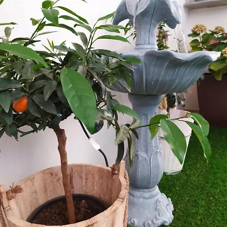 Casa Luce Гостьовий будинок *
